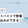 リゾートバイトで牧場の住み込みができる！短期求人もあり